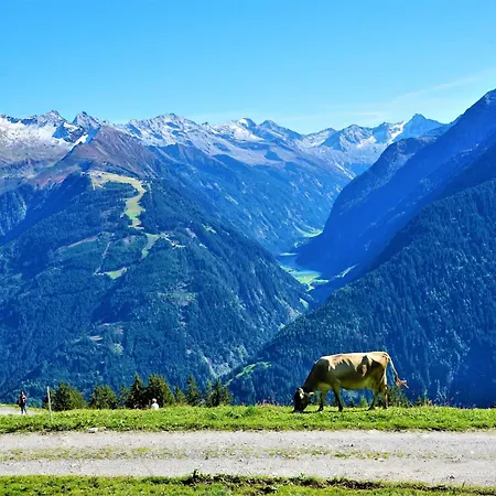 Lägenhet Tyrol Finkenberg