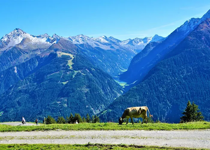 Lägenhet Tyrol Finkenberg